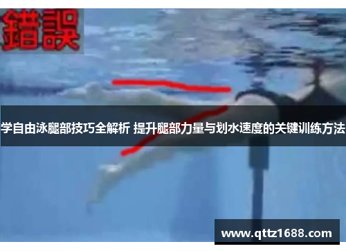 学自由泳腿部技巧全解析 提升腿部力量与划水速度的关键训练方法